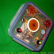 Single Cell Synth (c) Bioni Samp 2014